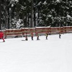 phoca_thumb_m_lye 3.den  121 Fotogalerie